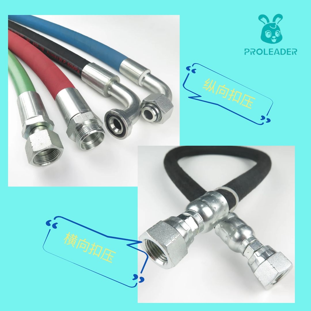 Professional Processing Hose Assembly
