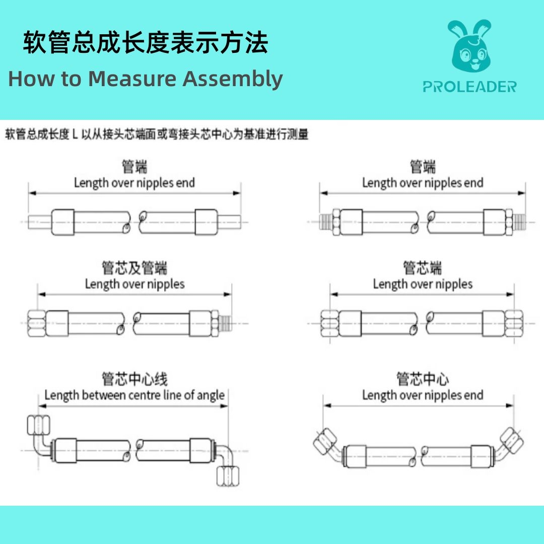 Professional Processing Hose Assembly