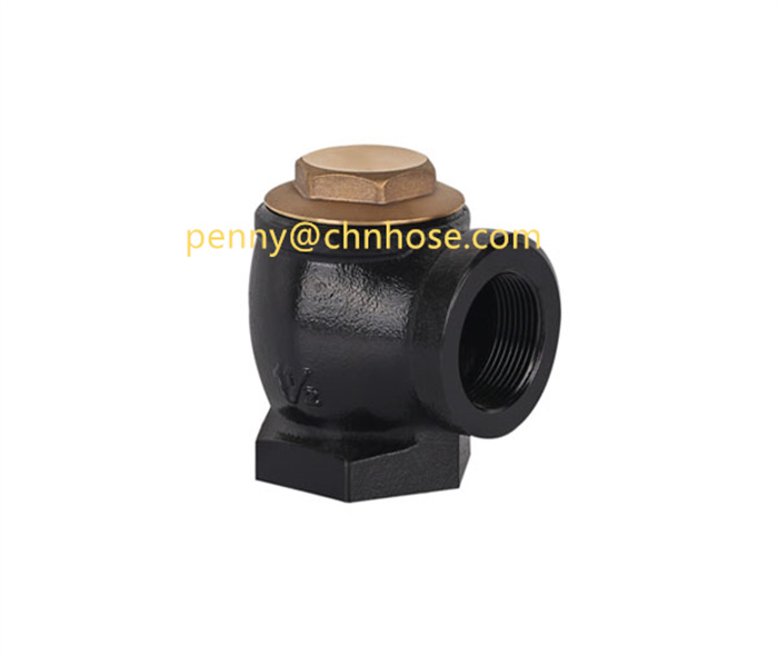 Pipeline check valve