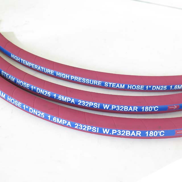 STEAM HOSE (22).jpg